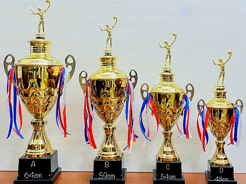cúp bóng chuyền cúp bóng chuyền
