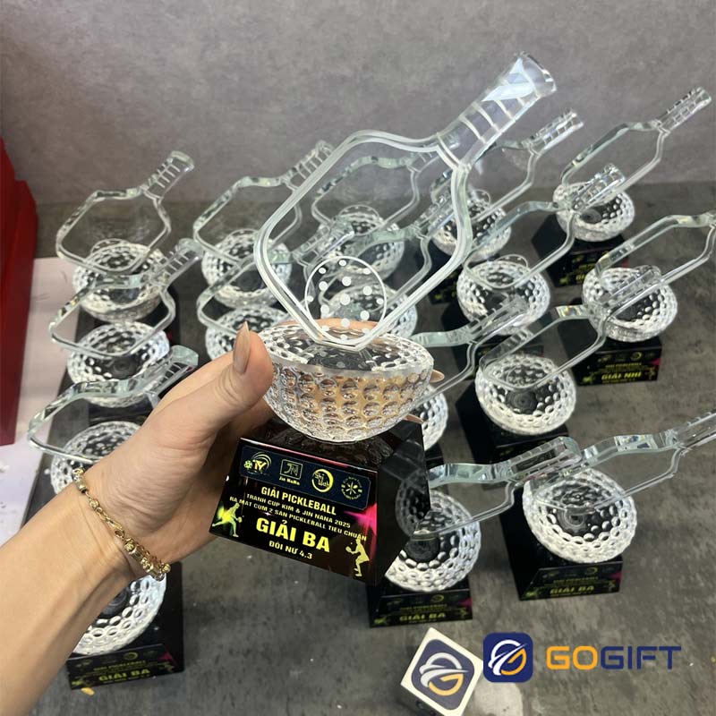 cúp pickleball 2 cúp pickleball 2