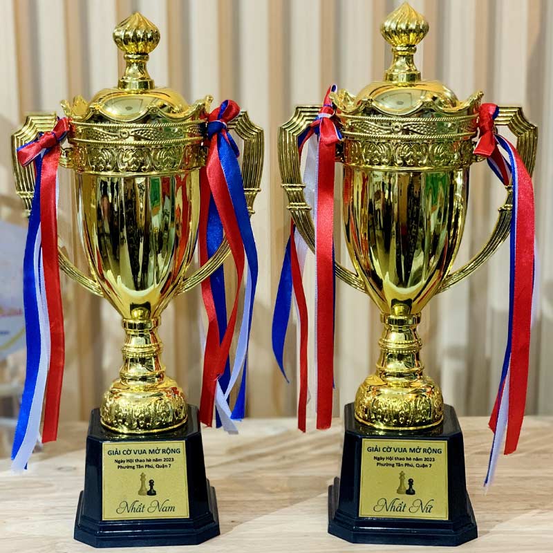 cúp cờ vua cúp cờ vua