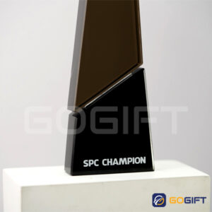 Đế kỷ niệm chương vinh danh PL01