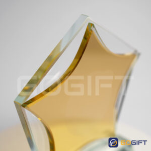 Kỷ niệm chương ngôi sao Gogift PL24