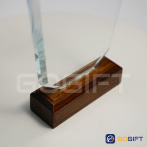 Kỷ niệm chương cao cấp Gogift PL25