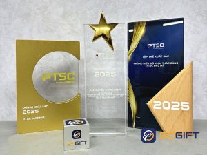 Cúp lưu niệm thiết kế